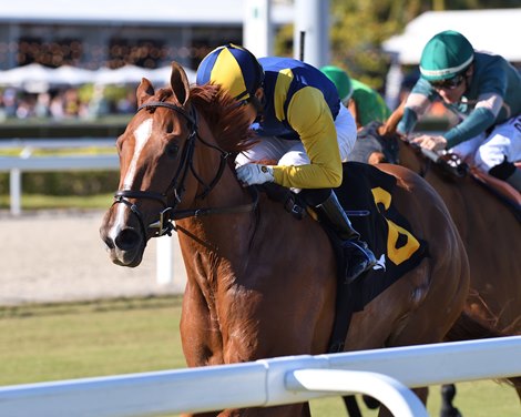Sister Troienne wins the 2026 Ginger Brew Stakes at Gulfstream Park Sister Troienne wins the 2026 Ginger Brew Stakes at Gulfstream Park