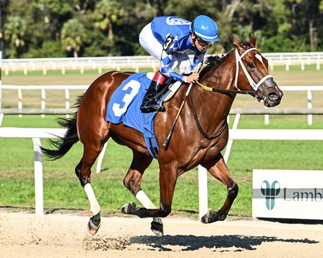 Tessellate wins the 2026 Gasparilla Stakes at Tampa Bay Downs Tessellate wins the 2026 Gasparilla Stakes at Tampa Bay Downs