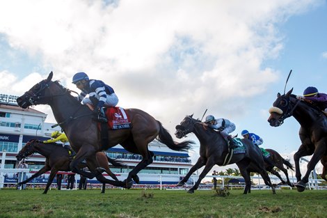 Test Score wins the 2026 Pegasus World Cup Turf Invitational Stakes at Gulfstream Park Coglianese Photos/Ryan Thompson Test Score wins the 2026 Pegasus World Cup Turf Invitational Stakes at Gulfstream Park Coglianese Photos/Ryan Thompson