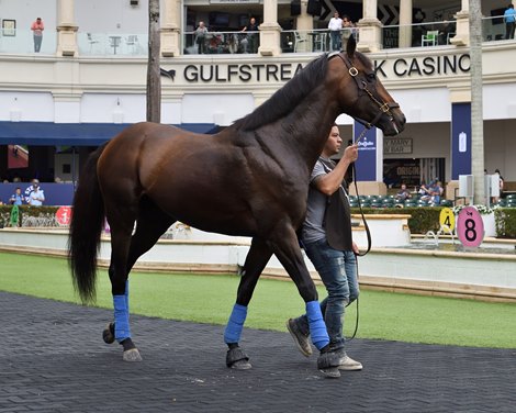 Full Serrano, Gulfstream Park, January 22 2026 Full Serrano, Gulfstream Park, January 22 2026