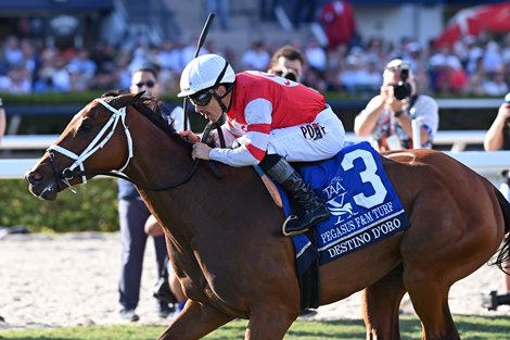 Destino d'Oro wins the 2026 Pegasus World Cup Filly and Mare Turf Invitational Stakes at Gulfstream Park<br>
Coglianese Photos/Angelo Lieto Destino d'Oro wins the 2026 Pegasus World Cup Filly and Mare Turf Invitational Stakes at Gulfstream Park<br>
Coglianese Photos/Angelo Lieto