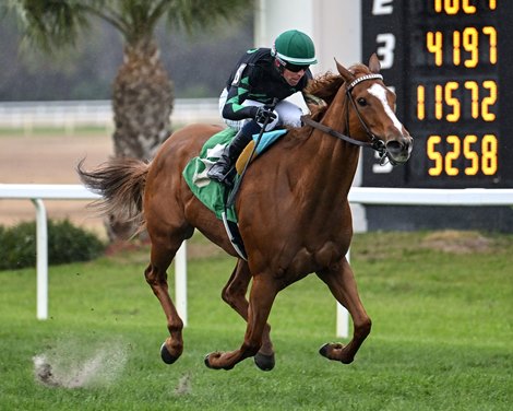 Aussie Girl wins the 2026 Endeavour Stakes at Tampa Bay Downs Aussie Girl wins the 2026 Endeavour Stakes at Tampa Bay Downs