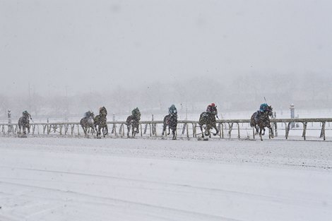 Snow, Aqueduct Racetrack, January 17 2026 Snow, Aqueduct Racetrack, January 17 2026