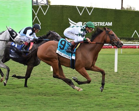 Lush Lips wins the 2026 Honey Fox Stakes at Gulfstream Park Lush Lips wins the 2026 Honey Fox Stakes at Gulfstream Park