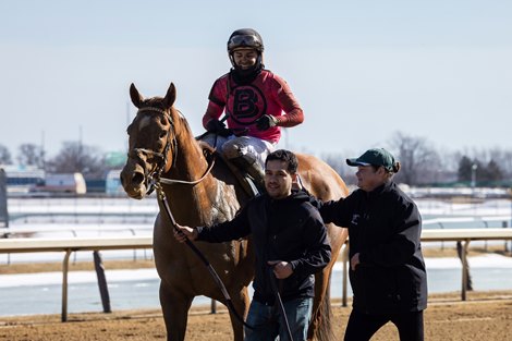 Bold Journey wins the 2026 Tom Fool Stakes at Aqueduct Racetrack Bold Journey wins the 2026 Tom Fool Stakes at Aqueduct Racetrack
