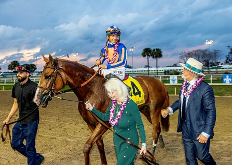 Paladin wins the 2026 Risen Star Stakes at Fair Grounds Paladin wins the 2026 Risen Star Stakes at Fair Grounds