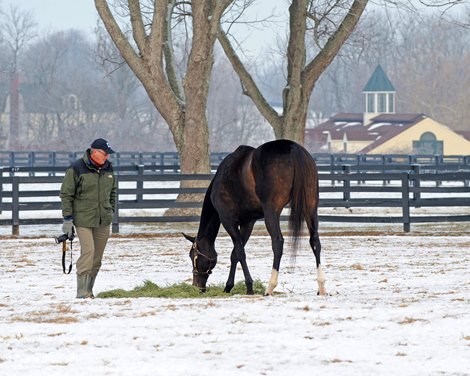 Her trainer John Shirreffs, with his camera in hand, visits Zenyatta in the paddock. Her trainer John Shirreffs, with his camera in hand, visits Zenyatta in the paddock.