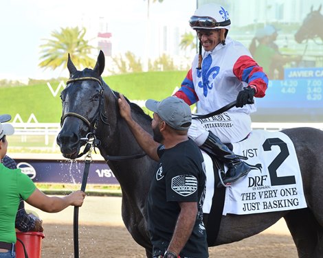 Just Basking wins the 2026 The Very One Stakes at Gulfstream Park Just Basking wins the 2026 The Very One Stakes at Gulfstream Park