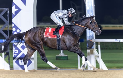 Commissioner King wins the 2026 Burj Nahar at Meydan Racecourse Commissioner King wins the 2026 Burj Nahar at Meydan Racecourse