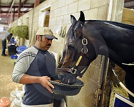 Zenyatta receives food from Mario Espinoza at Hollywood Park. Zenyatta receives food from Mario Espinoza at Hollywood Park.