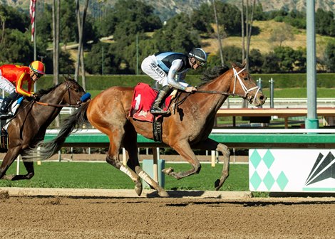 Meaning and jockey Flavien Prat, right, outleg Explora. (Juan Hernandez), left, to win the $100,000 Las Virgenes Stakes, Sunday, February 8, 2026 at Santa Anita Park, Arcadia CA.<br>
© BENOIT PHOTO Meaning and jockey Flavien Prat, right, outleg Explora. (Juan Hernandez), left, to win the $100,000 Las Virgenes Stakes, Sunday, February 8, 2026 at Santa Anita Park, Arcadia CA.<br>
© BENOIT PHOTO
