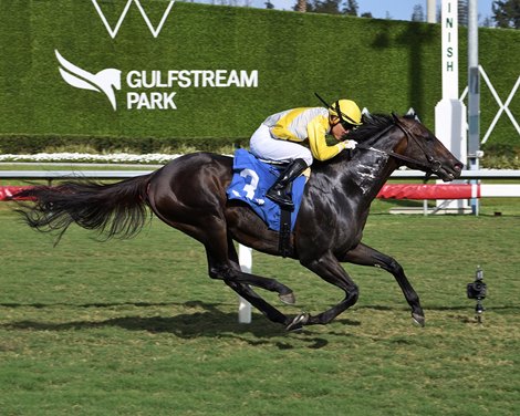 Litigation wins the 2026 Silks Run Stakes at Gulfstream Park Litigation wins the 2026 Silks Run Stakes at Gulfstream Park