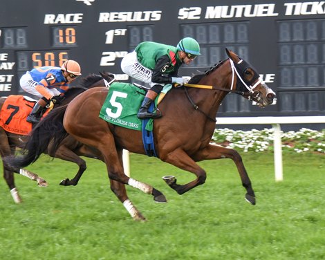 Dandona wins the 2026 Florida Oaks at Tampa Bay Downs Dandona wins the 2026 Florida Oaks at Tampa Bay Downs