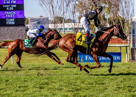 3-21-26 Lagynos, with Jose Ortiz aboard, wins the 34th running of the Grade II Muniz Memorial Classic Turf race at Fairgrounds Racecourse in New Orleans, LA.<br>
Hodges Photography/Lou Hodges, Jr. 3-21-26 Lagynos, with Jose Ortiz aboard, wins the 34th running of the Grade II Muniz Memorial Classic Turf race at Fairgrounds Racecourse in New Orleans, LA.<br>
Hodges Photography/Lou Hodges, Jr.