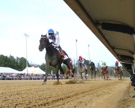 Incredibolt wins the 2026 Virginia Derby at Colonial Downs Incredibolt wins the 2026 Virginia Derby at Colonial Downs