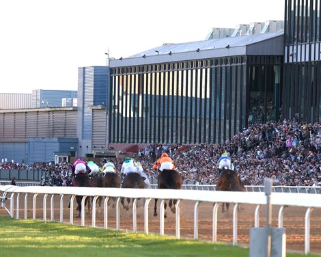 Renegade wins the 2026 Arkansas Derby at Oaklawn Park Renegade wins the 2026 Arkansas Derby at Oaklawn Park