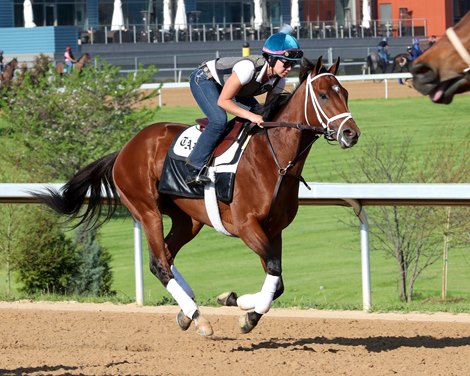 Renegade, Gallop, Oaklawn Park, March 26 2026 Renegade, Gallop, Oaklawn Park, March 26 2026