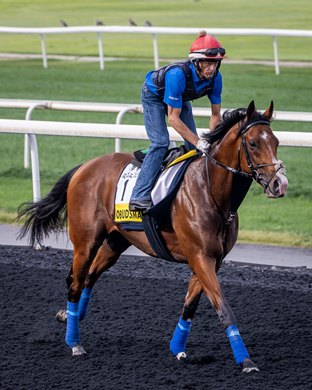 Ombudsman, Meydan Racecourse, March 25 2026 Ombudsman, Meydan Racecourse, March 25 2026