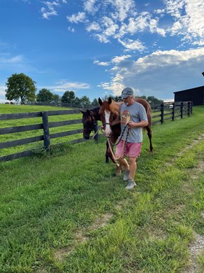 Dan Davidson with the yearlings Dan Davidson with the yearlings