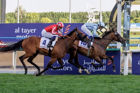 Fairy Glen wins the 2026 Dubai Gold Cup at Meydan Racecourse Fairy Glen wins the 2026 Dubai Gold Cup at Meydan Racecourse