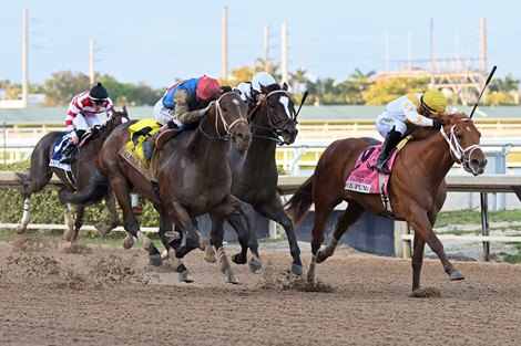 Commandment wins the 2026 Florida Derby at Gulfstream Park Commandment wins the 2026 Florida Derby at Gulfstream Park