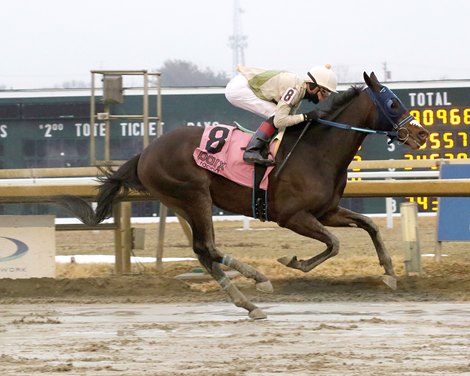 Red Zone Runner #8 ridden by Mychel Sanchez won the $75,000 City of Brotherly Love Stakes on March 3, 2026 at Parx Racing in Bensalem, Pa. Photo by Barbara Weidl/EQUI-PHOTO. Red Zone Runner #8 ridden by Mychel Sanchez won the $75,000 City of Brotherly Love Stakes on March 3, 2026 at Parx Racing in Bensalem, Pa. Photo by Barbara Weidl/EQUI-PHOTO.