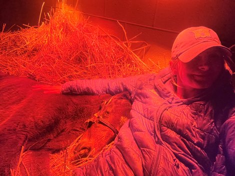 Susan Finney with Queen Caroline's 2025 filly by Tapit Susan Finney with Queen Caroline's 2025 filly by Tapit