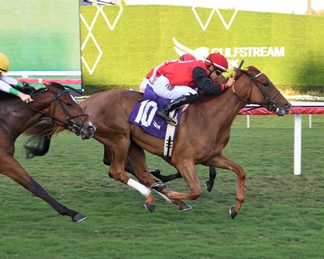 Candy Rockette - MSW - GP - 030126 Candy Rockette - MSW - GP - 030126