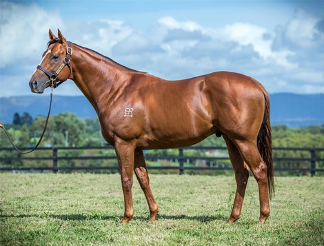Extreme Choice at Newgate Farm Extreme Choice at Newgate Farm