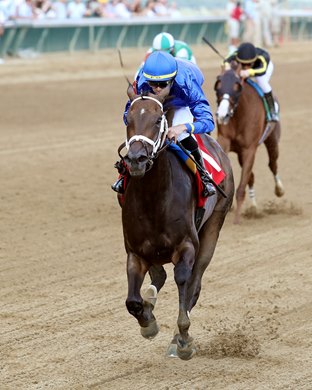 Immersive wins the 2025 Seneca Overnight Stakes at Churchill Downs Immersive wins the 2025 Seneca Overnight Stakes at Churchill Downs