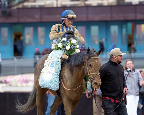 Albus wins the Wood Memorial Stakes at Aqueduct Racetrack Albus wins the Wood Memorial Stakes at Aqueduct Racetrack