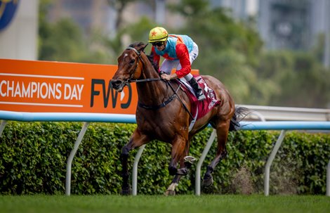 Ka ying Rising and Zac Purton win the Chairmans Sprint Prize and complete the Sprint Triple Crown at Sha Tin Racecourse in Sha Tin, Hong Kong, China on April 26, 2026. Photo By: Alex Evers/ HKJC Ka ying Rising and Zac Purton win the Chairmans Sprint Prize and complete the Sprint Triple Crown at Sha Tin Racecourse in Sha Tin, Hong Kong, China on April 26, 2026. Photo By: Alex Evers/ HKJC