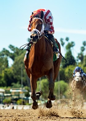 Meaning and jockey Juan Hernandez win the Grade II $200,000 Santa Anita Oaks Saturday, April 4, 2026 at Santa Anita Park, Arcadia, CA. The 3-year old daughter of Gun Runner is owned by Bridlewood Farm and Eclipse Thoroughbred Partners and trained by Michael McCarthy who also saddled the second place finisher, Brooklyn Blonde.<br>
Benoit Photo Meaning and jockey Juan Hernandez win the Grade II $200,000 Santa Anita Oaks Saturday, April 4, 2026 at Santa Anita Park, Arcadia, CA. The 3-year old daughter of Gun Runner is owned by Bridlewood Farm and Eclipse Thoroughbred Partners and trained by Michael McCarthy who also saddled the second place finisher, Brooklyn Blonde.<br>
Benoit Photo