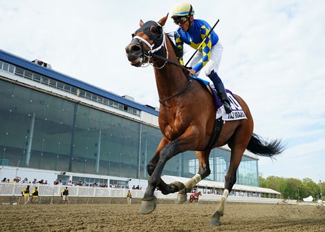 Taj Mahal wins the 2026 Federico Tesio Stakes at Laurel Park Taj Mahal wins the 2026 Federico Tesio Stakes at Laurel Park