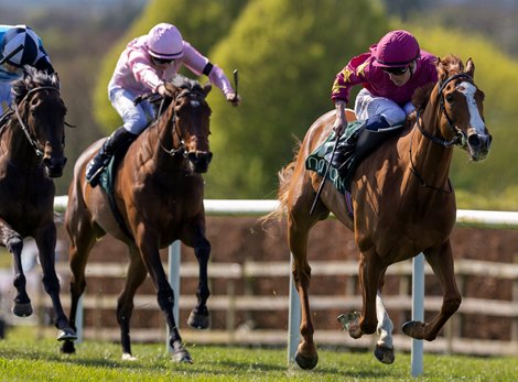 The Gr.3 Salsabil Stakes won by Thundering On and Joey Sheridan. Navan. Photo: Patrick McCann/Racing Post<br>
25.04.2026 The Gr.3 Salsabil Stakes won by Thundering On and Joey Sheridan. Navan. Photo: Patrick McCann/Racing Post<br>
25.04.2026