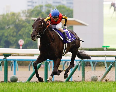 Croix du Nord wins the 2026 Tenno Sho at Kyoto Racecourse Croix du Nord wins the 2026 Tenno Sho at Kyoto Racecourse
