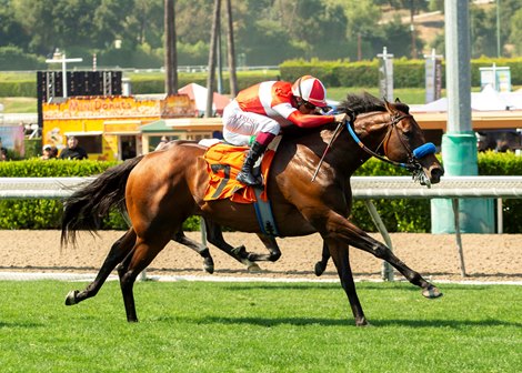 Flyover and jockey Antonio Fresu win the $100,000 guaranteed Crystal Water Stakes Saturday, May 23, 2026 at Santa Anita Park, Arcadia, CA. The 5-year-old son of Om is owned by The Ellwood Johnston Trust, Integrity Thoroughbred Racing and Tevelde and trained by John Sadler. Benoit Photo. Flyover and jockey Antonio Fresu win the $100,000 guaranteed Crystal Water Stakes Saturday, May 23, 2026 at Santa Anita Park, Arcadia, CA. The 5-year-old son of Om is owned by The Ellwood Johnston Trust, Integrity Thoroughbred Racing and Tevelde and trained by John Sadler. Benoit Photo.