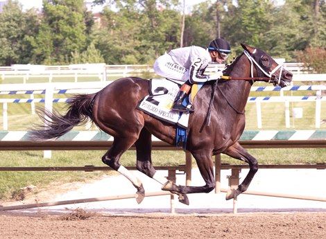 Navajo Warrior wins the 2026 Pimlico Special Stakes at Laurel Park Navajo Warrior wins the 2026 Pimlico Special Stakes at Laurel Park