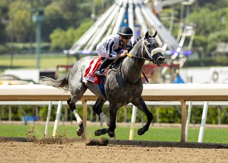 Forged Steel and jockey Flavien Prat win the Grade II $100,000 Hollywood Gold Cup Monday, May 25, 2025 at Santa Anita Park, Arcadia, CA. The Kentucky-bred colt is owned by C2 Racing Stable and Mathis Stables and trained by Saffie A. Joseph, Jr.<br>
Benoit Photo Forged Steel and jockey Flavien Prat win the Grade II $100,000 Hollywood Gold Cup Monday, May 25, 2025 at Santa Anita Park, Arcadia, CA. The Kentucky-bred colt is owned by C2 Racing Stable and Mathis Stables and trained by Saffie A. Joseph, Jr.<br>
Benoit Photo
