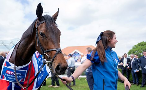 True Love after the 1000 Guineas<br>
Newmarket 3.5.26 Pic: Edward Whitaker True Love after the 1000 Guineas<br>
Newmarket 3.5.26 Pic: Edward Whitaker
