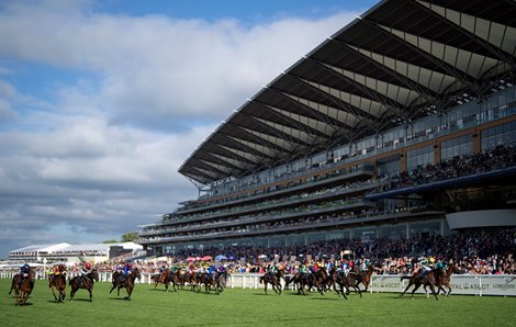 King Of Cloughlan (yellow cap ,right) wins the Windsor Castle Ascot 17.6.25 Pic: Edward Whitaker King Of Cloughlan (yellow cap ,right) wins the Windsor Castle Ascot 17.6.25 Pic: Edward Whitaker