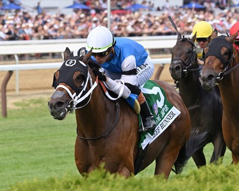 Reef Runner wins the 2026 Jaipur Stakes at Saratoga Race Course Reef Runner wins the 2026 Jaipur Stakes at Saratoga Race Course