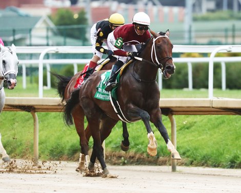 Magnitude wins the 2026 Stephen Foster Stakes at Churchill Downs Magnitude wins the 2026 Stephen Foster Stakes at Churchill Downs