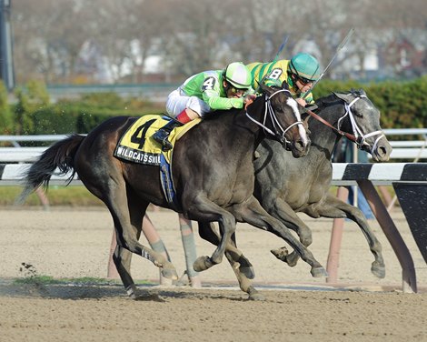 Disposablepleasure (inside) wins the 2011 Demoiselle Stakes at Aqueduct Racetrack Disposablepleasure (inside) wins the 2011 Demoiselle Stakes at Aqueduct Racetrack
