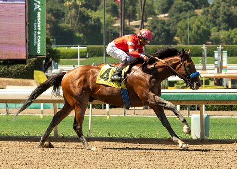 Virginia-bred Secured Freedom and jockey Joel Rosario win the $100,000 Affirmed Stakes Monday, June 15, 2026, at Santa Anita Park, Arcadia, CA. The three-year-old son of Practical Joke is owned by Amestoy, Amestoy Jr. and Beasley and trained by Tim Yakteen. Benoit Photo Virginia-bred Secured Freedom and jockey Joel Rosario win the $100,000 Affirmed Stakes Monday, June 15, 2026, at Santa Anita Park, Arcadia, CA. The three-year-old son of Practical Joke is owned by Amestoy, Amestoy Jr. and Beasley and trained by Tim Yakteen. Benoit Photo