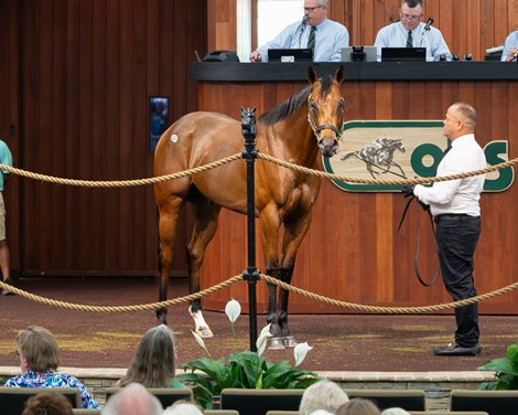 Hip 433, 2026 OBS June Hip 433, 2026 OBS June