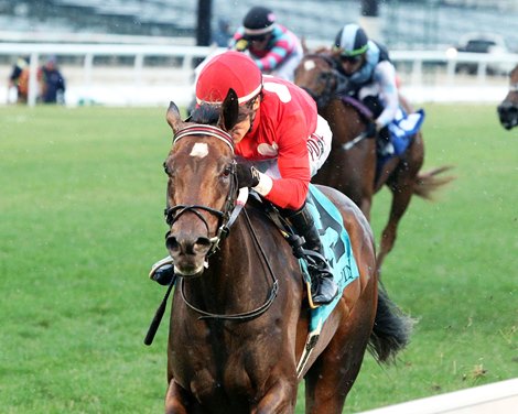Tam Tam wins the 2026 Tepin Stakes at Churchill Downs Tam Tam wins the 2026 Tepin Stakes at Churchill Downs