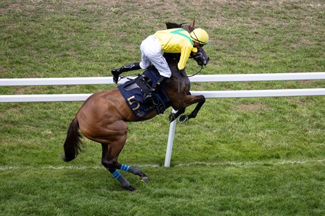 Celtic Dispute plays up for Christophe Soumillon before the Queen Mary Stakes.<br>
Royal Ascot day 2.<br>
Photo: Patrick McCann/Racing Post<br>
17.06.2026 Celtic Dispute plays up for Christophe Soumillon before the Queen Mary Stakes.<br>
Royal Ascot day 2.<br>
Photo: Patrick McCann/Racing Post<br>
17.06.2026