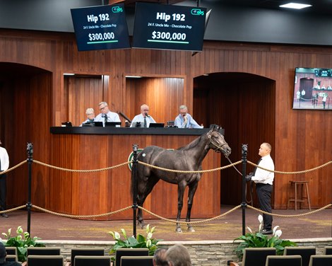 Hip 192, 2026 OBS June Sale Hip 192, 2026 OBS June Sale
