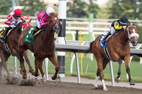 Highwaytothemoon wins the 2026 Queenston Stakes at Woodbine Highwaytothemoon wins the 2026 Queenston Stakes at Woodbine